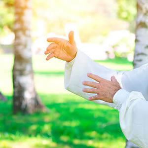 tai chi chuan 300x300